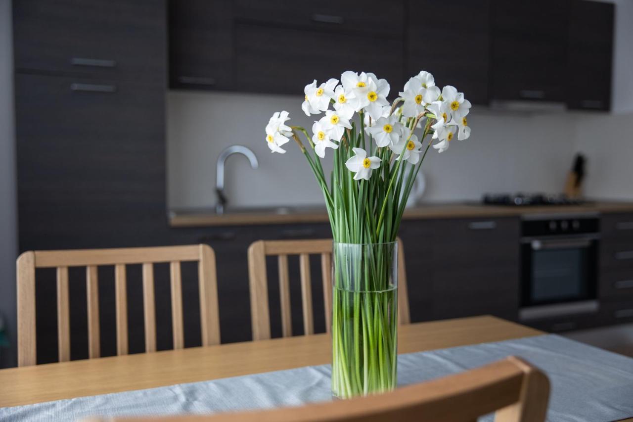ביילובאר Apartman Ena מראה חיצוני תמונה
